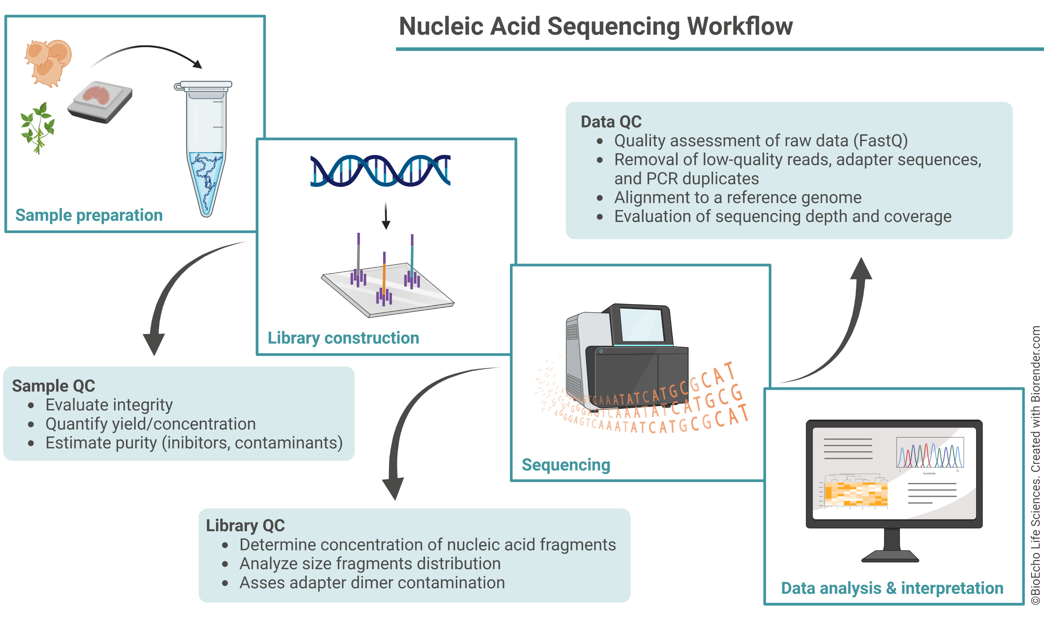 Revealing the genome's secrets: advances and applications of next ...