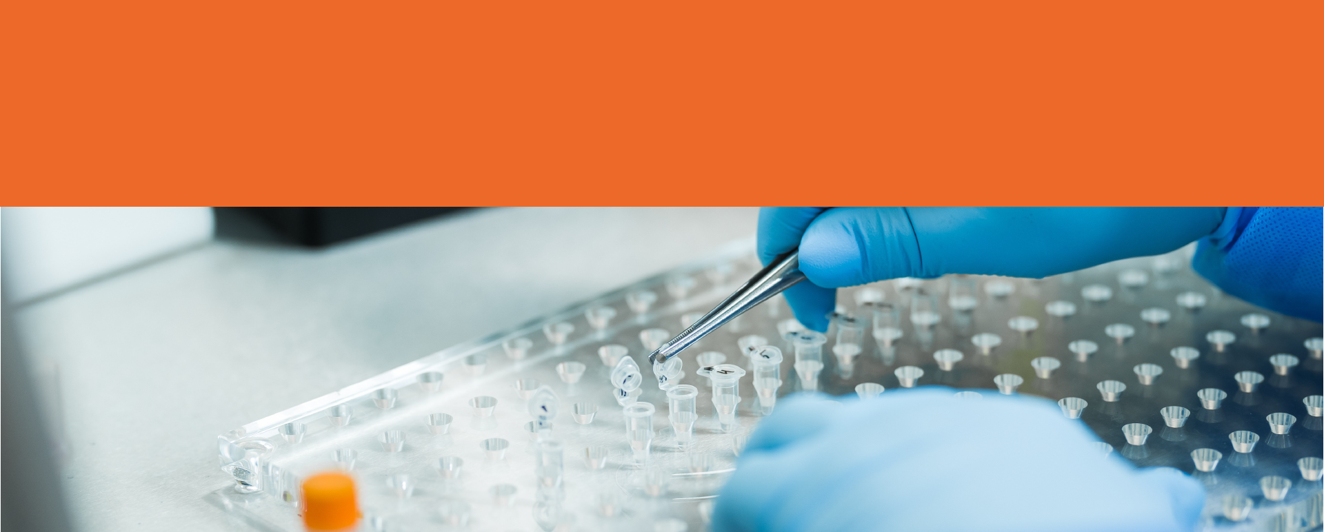 BioEcho Life Sciences - Home