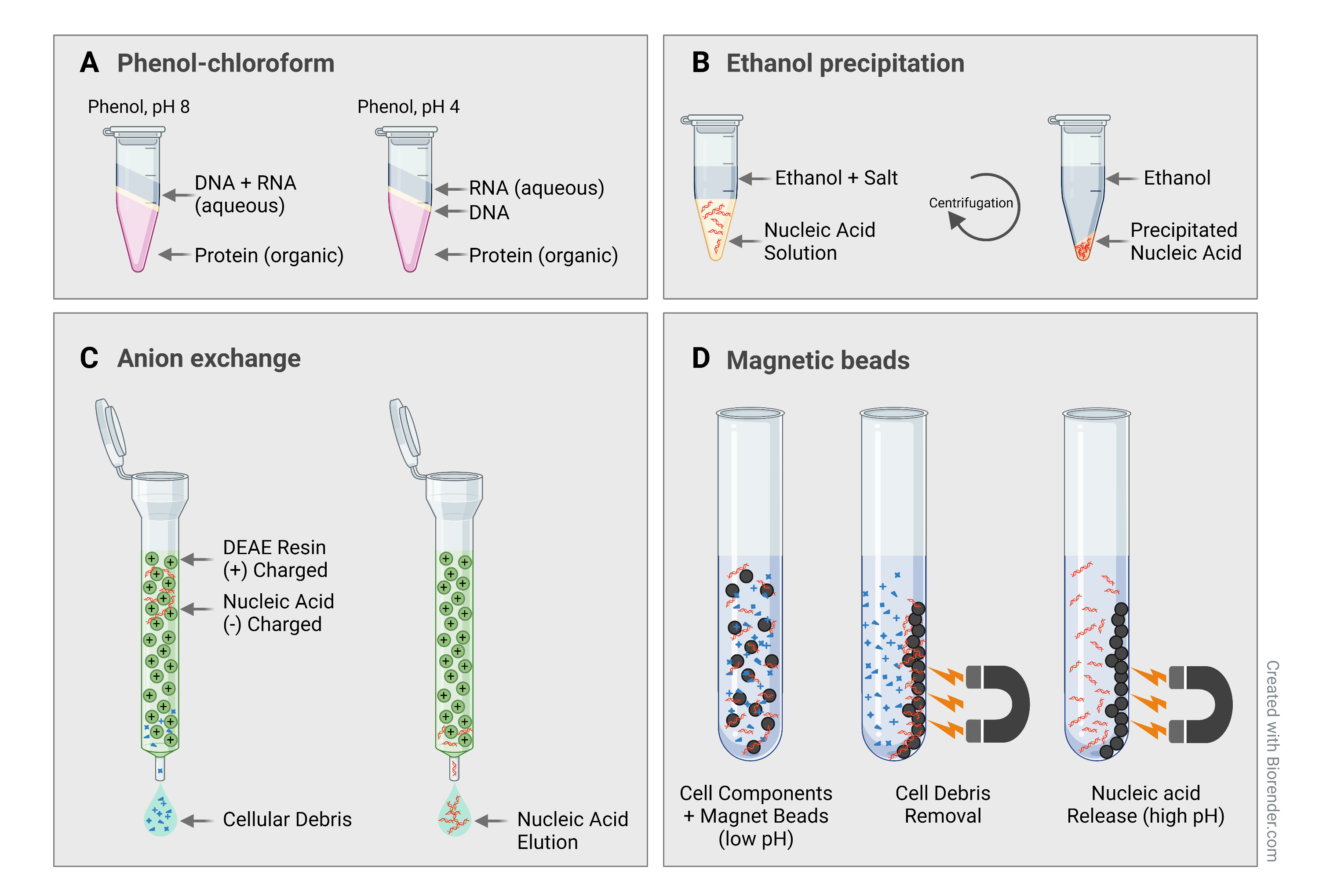 dna extraction using phenol chloroform