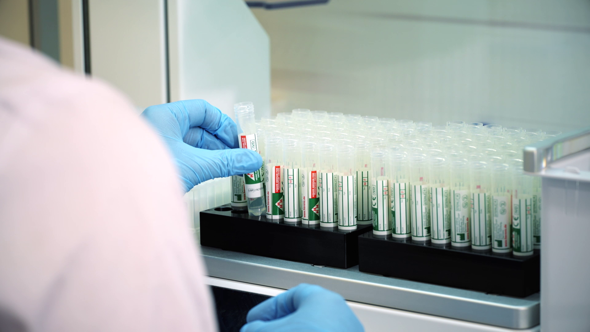 RNA Extraction | BioEcho