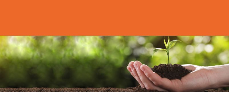 BioEcho Life Sciences - Home